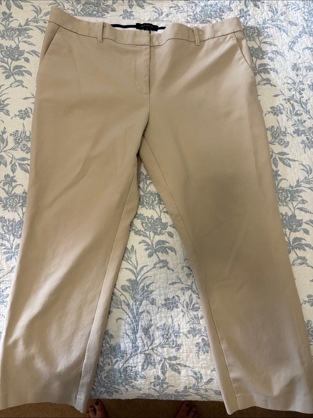 Ann Taylor Neutral Beige Dress Pants